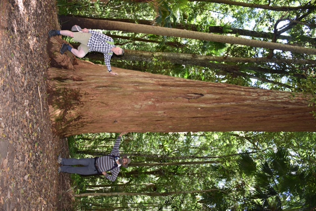 13 Walumarra Trek Turpentine